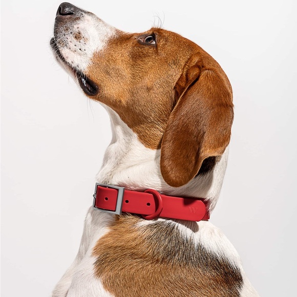 Wild One Collar Size XL - Red New w/Tag - Picture 8 of 9